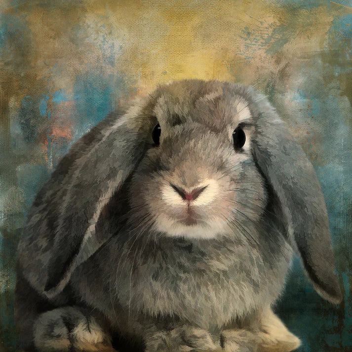 Floppy Ear Bunny Panel