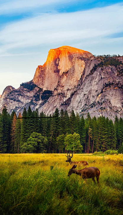 Yosemite Valley Panel