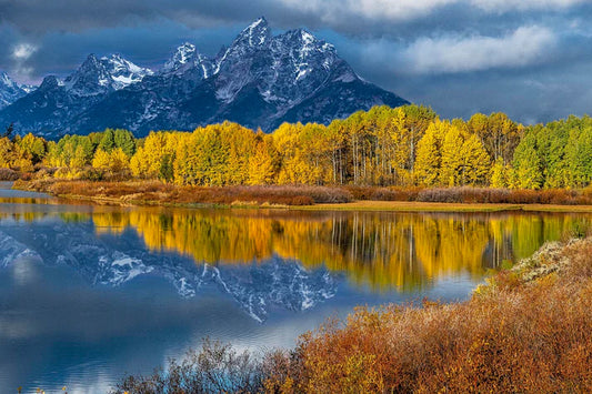 Oxbow Bend in the Fall Panel